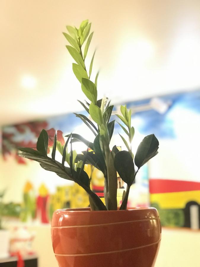 The Lily Hostel & Coffee 호치민 외부 사진